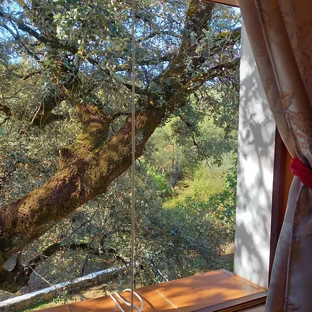 La Encina בית נופש El Quejigo